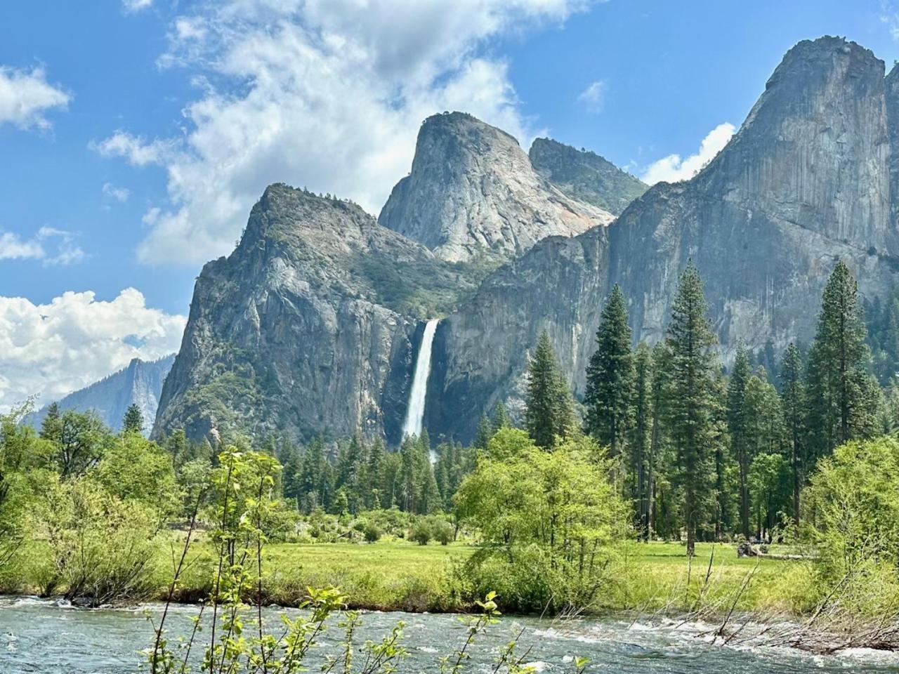 Oak Retreat By Yosemite National Park Apartment Корсголд Екстериор снимка